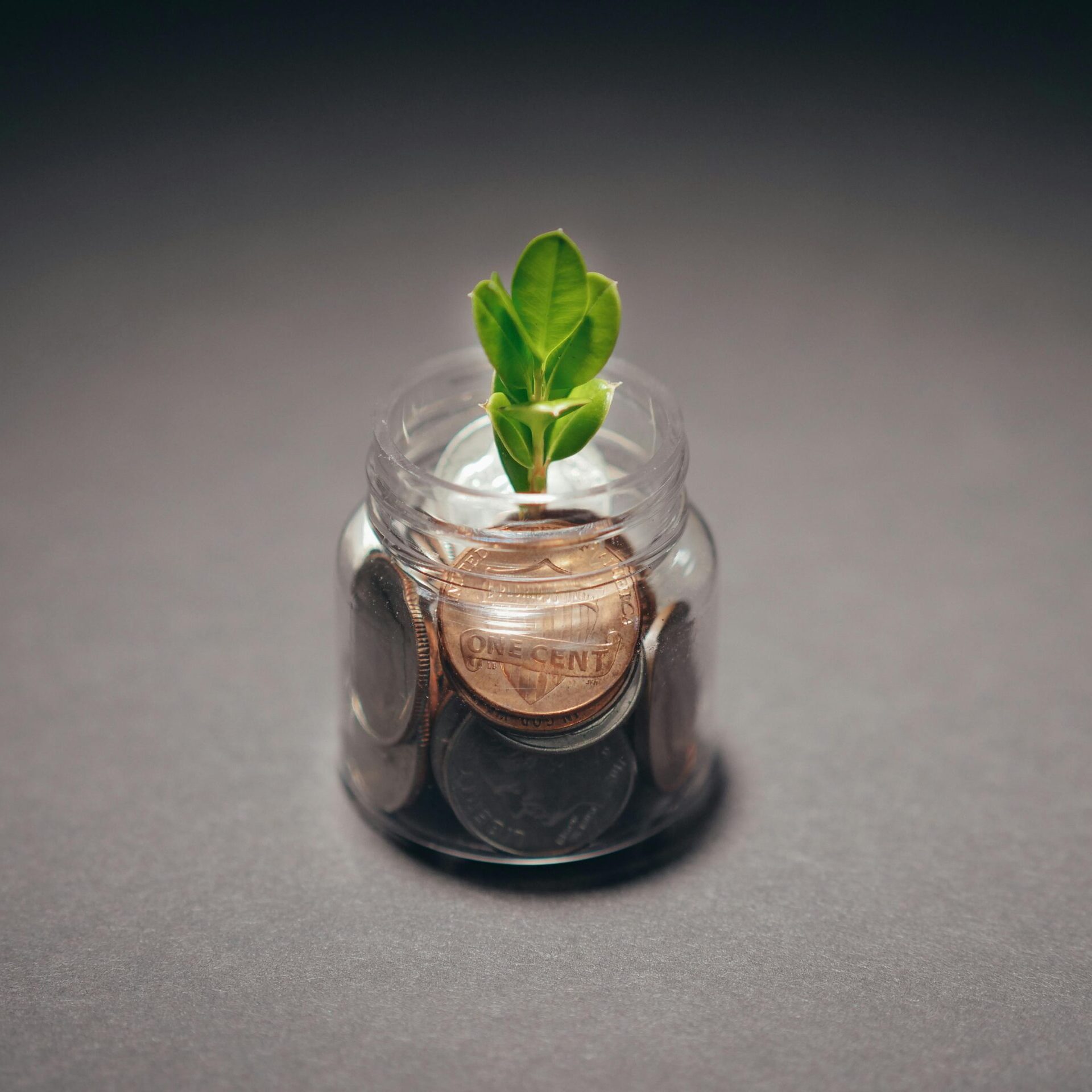 Green plant growing from a jar filled with coins, symbolizing financial growth and investment.
