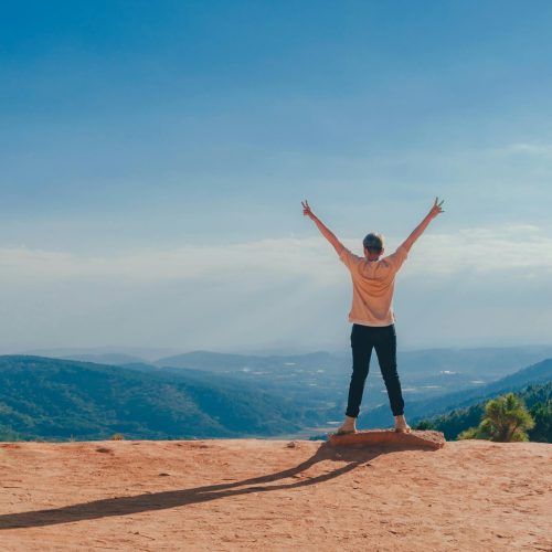 A man raises his arms in triumph on a rocky mountain summit overlooking a vast landscape